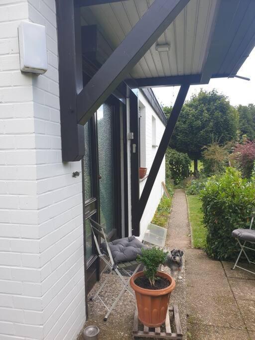 Naturnahe Wohnung Uelzen Zewnętrze zdjęcie